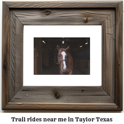 trail rides near me in Taylor, Texas